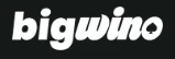 Bigwino logo