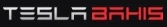 Teslabahis logo